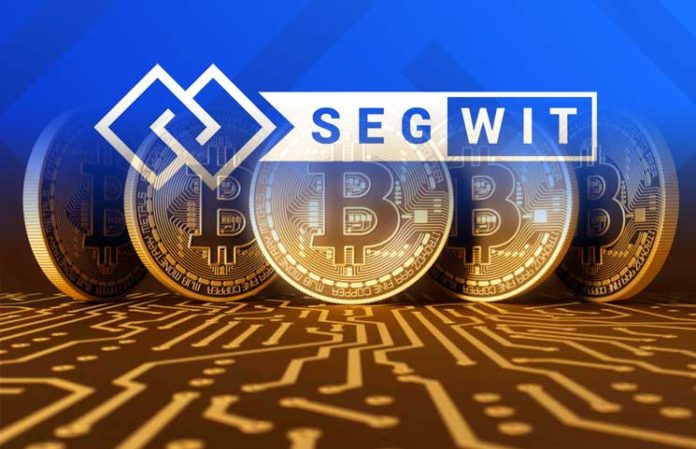SegWit-transactions-take-up-over-50-of-total-Bitcoin-transactions-696x449.jpg